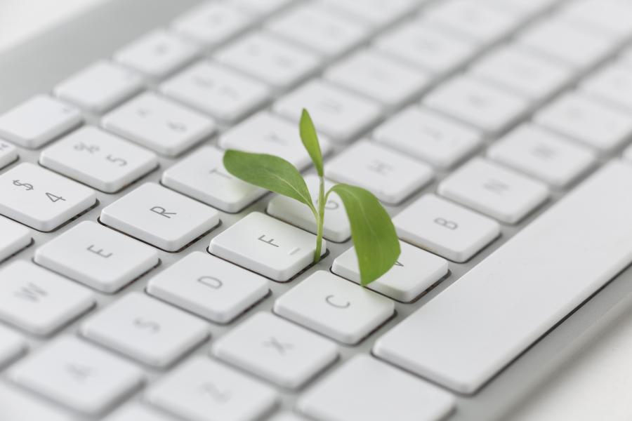 keyboard-with-small-plant.jpg